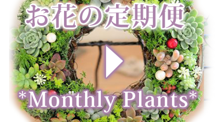 monthly-plants