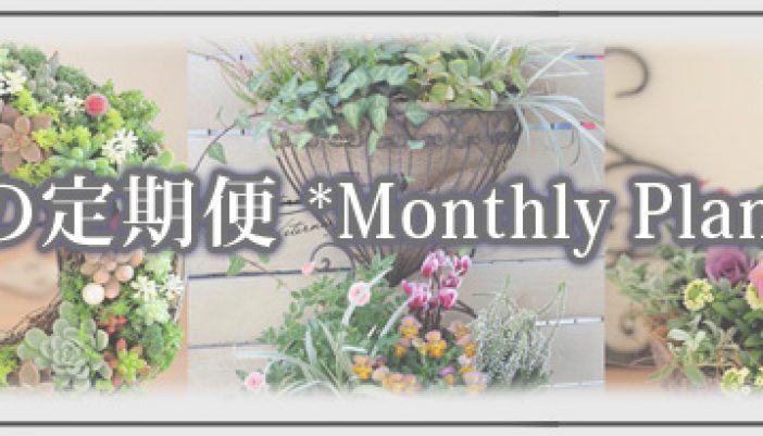 monthly_plants
